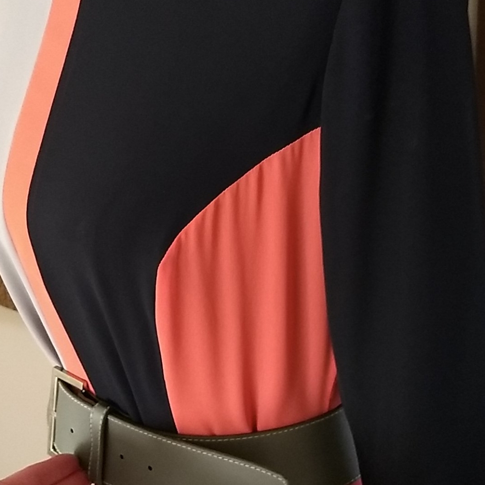 Barelli Dress View 6